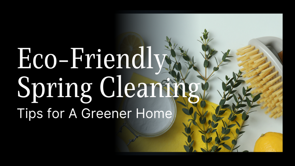 10 Eco-Friendly Spring Cleaning Tips for a Greener Home